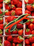 goodr OG Polarized Sunglasses FARMERS MARKET - Strawberries Are My Jam